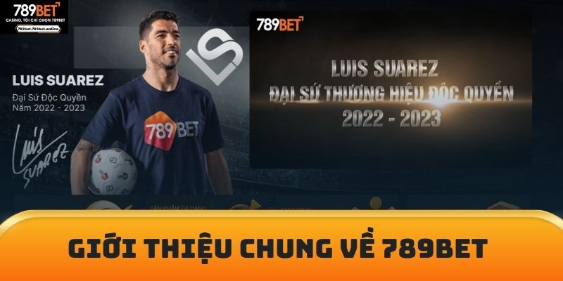 Giới thiệu chung về 789bet