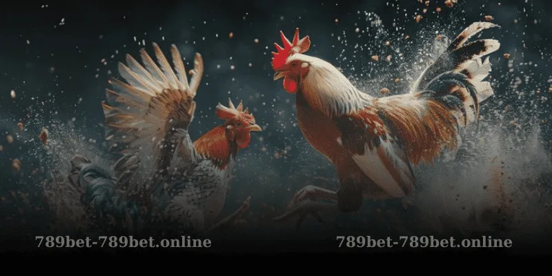 Mẹo Và Chiến Lược
